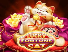 Lucky Fortune Cat